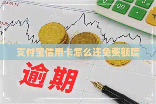 支付宝信用卡怎么还免费额度