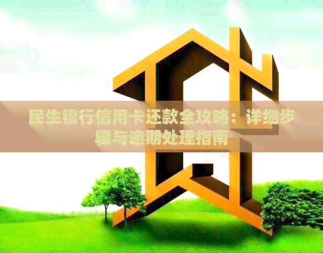 民生银行信用卡还款全攻略：详细步骤与逾期处理指南