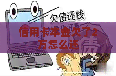 信用卡本金欠了2万怎么还