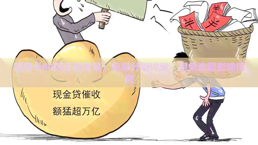 信用卡60期还款政策：免息分期详解，避免逾期影响信用