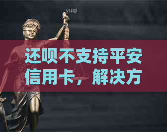还款不支持平安信用卡，解决方案有哪些？