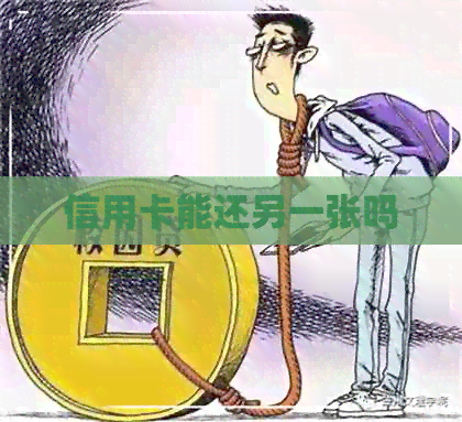 信用卡能还另一张吗