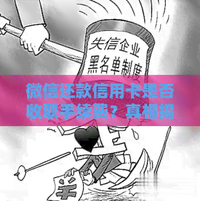 微信还款信用卡是否收取手续费？真相揭秘！