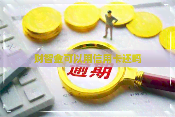 财智金可以用信用卡还吗