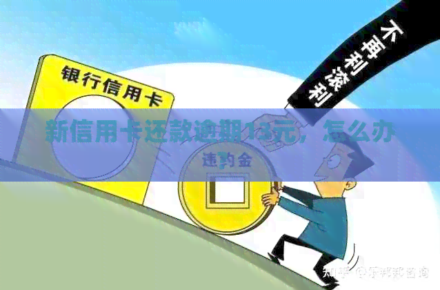 新信用卡还款逾期13元，怎么办？