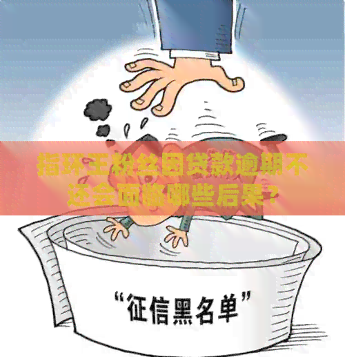 指环王粉丝因贷款逾期不还会面临哪些后果？