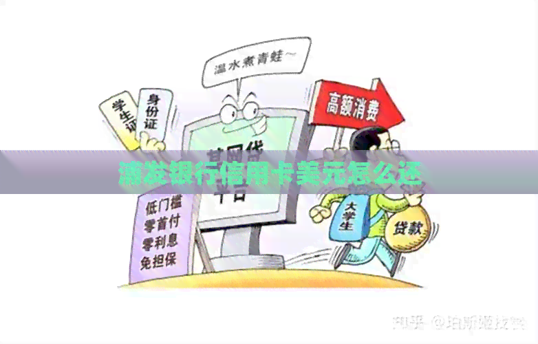 浦发银行信用卡美元怎么还
