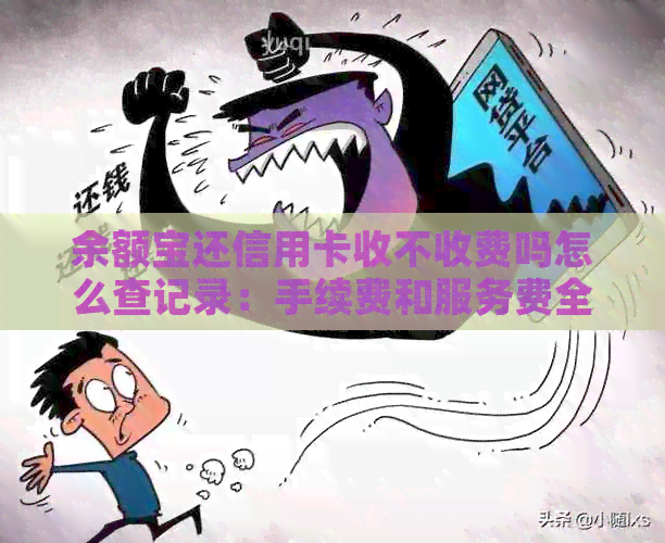 余额宝还信用卡收不收费吗怎么查记录：手续费和服务费全面解析