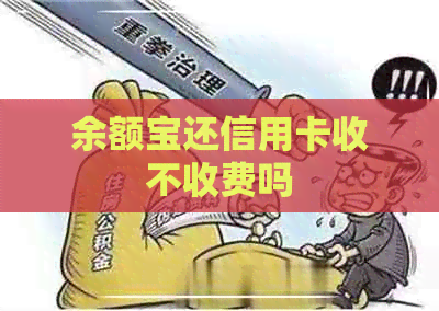 余额宝还信用卡收不收费吗