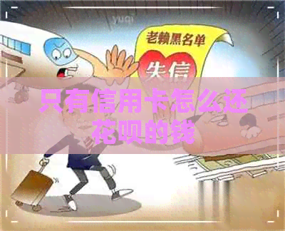 只有信用卡怎么还信用卡的钱