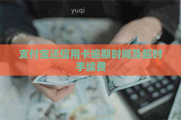 支付宝还信用卡逾期时间及超时手续费