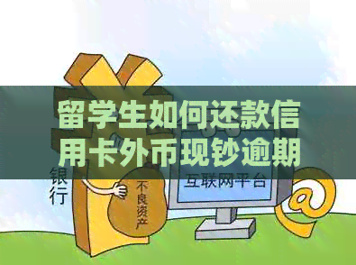 留学生如何还款信用卡外币现钞逾期款项：详细步骤与知识