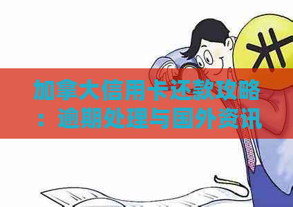加拿大信用卡还款攻略：逾期处理与国外资讯一览