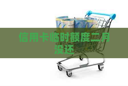信用卡临时额度二月没还
