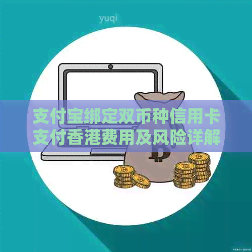 支付宝绑定双币种信用卡支付费用及风险详解