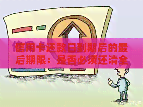 信用卡还款日到期后的最后期限：是否必须还清全部欠款？