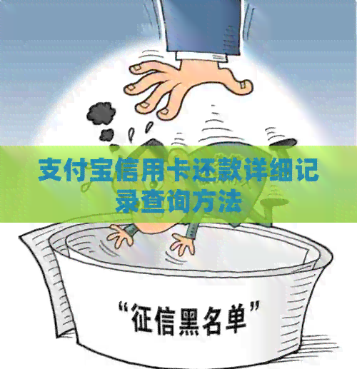 支付宝信用卡还款详细记录查询方法