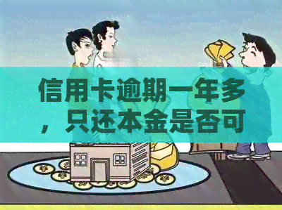 信用卡逾期一年多，只还本金是否可行？还款方案全面解答