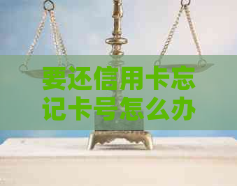 要还信用卡忘记卡号怎么办？