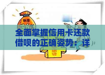 全面掌握信用卡还款网贷的正确姿势：详细步骤和注意事项