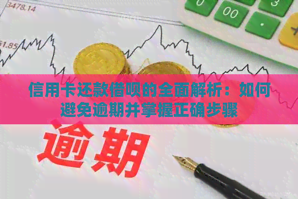 信用卡还款网贷的全面解析：如何避免逾期并掌握正确步骤