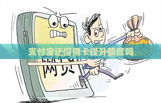 支付宝还信用卡提升额度吗