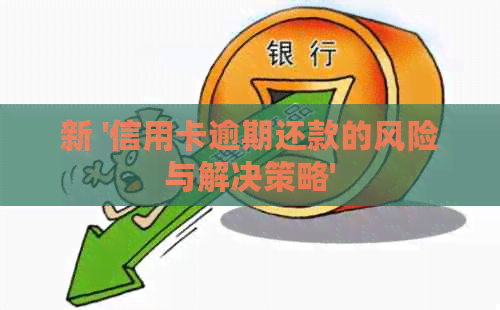 新 '信用卡逾期还款的风险与解决策略'