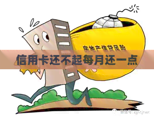 信用卡还不起每月还一点
