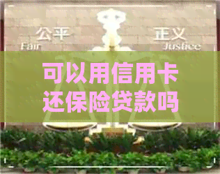 可以用信用卡还保险贷款吗