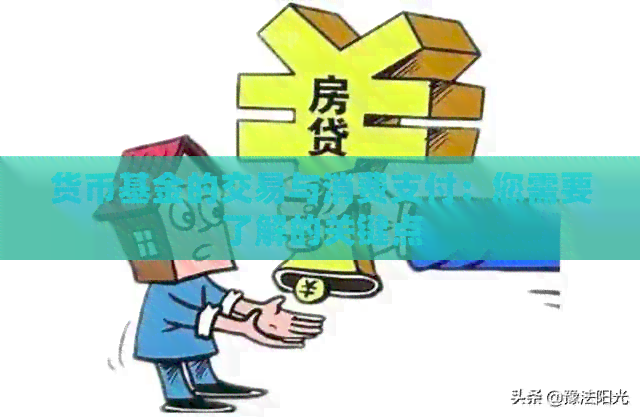 货币基金的交易与消费支付：您需要了解的关键点