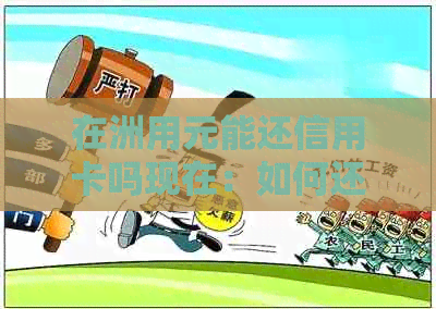 在洲用元能还信用卡吗现在：如何还款并查询额度？