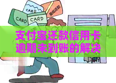 支付宝还款信用卡逾期未到账的解决办法