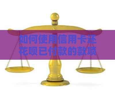 如何使用信用卡还信用卡已付款的款项
