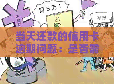 当天还款的信用卡逾期问题：是否需要计算？