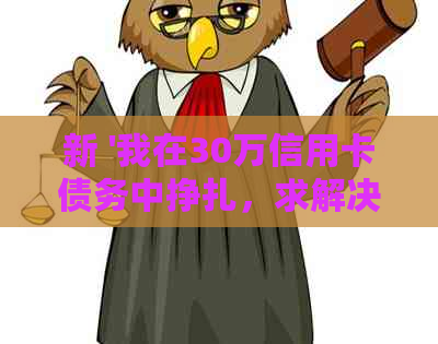 新 '我在30万信用卡债务中挣扎，求解决方案'