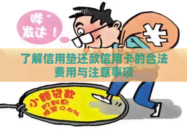 了解信用垫还款信用卡的合法费用与注意事项