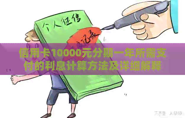 信用卡10000元分期一年所需支付的利息计算方法及详细解释