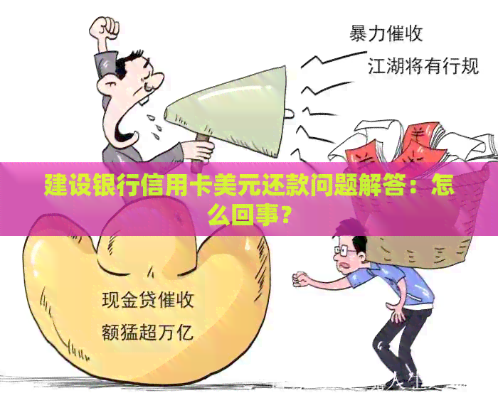 建设银行信用卡美元还款问题解答：怎么回事？