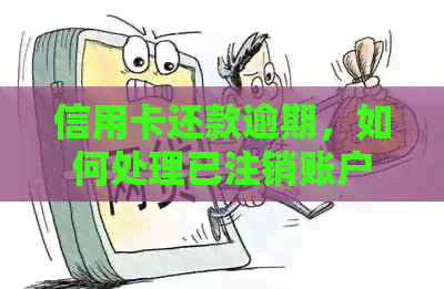 信用卡还款逾期，如何处理已注销账户的问题