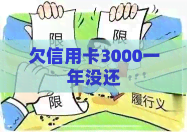 欠信用卡3000一年没还