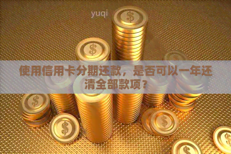 使用信用卡分期还款，是否可以一年还清全部款项？