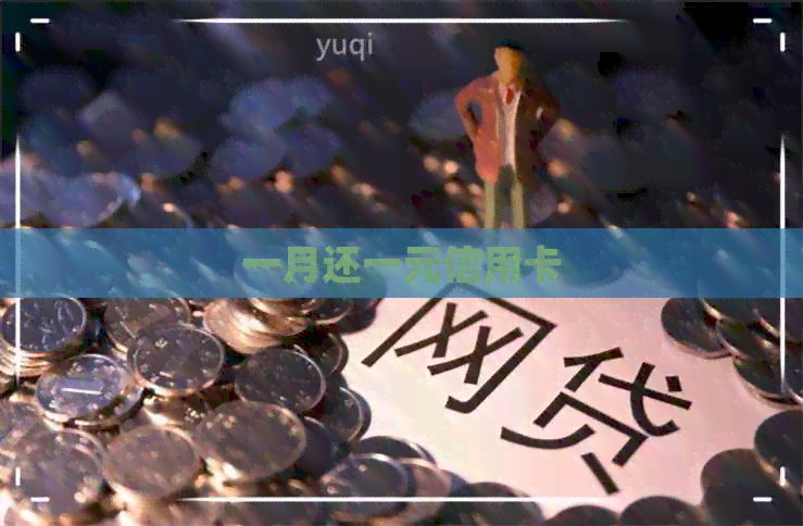 一月还一元信用卡