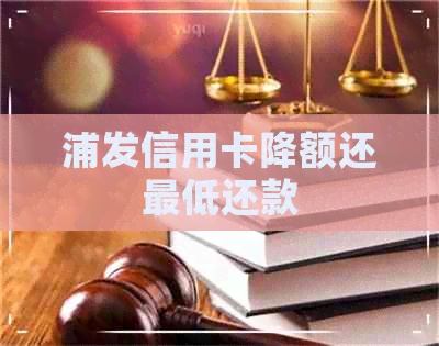 浦发信用卡降额还更低还款