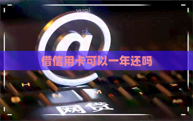借信用卡可以一年还吗