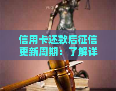 信用卡还款后更新周期：了解详细情况及影响因素