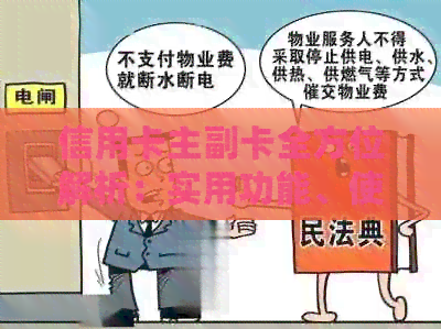 信用卡主副卡全方位解析：实用功能、使用区别与个人需求