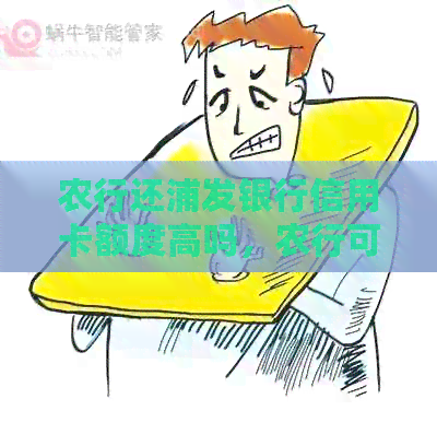 农行还浦发银行信用卡额度高吗，农行可以给浦发银行信用卡还款吗？