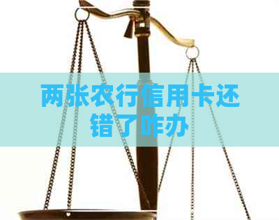 两张农行信用卡还错了咋办