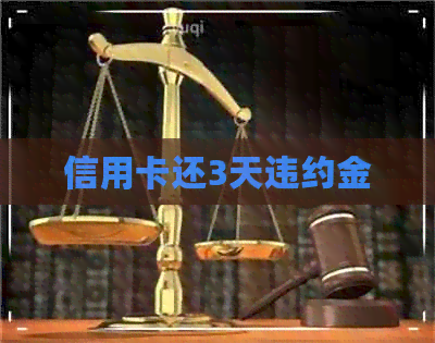 信用卡还3天违约金