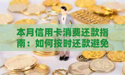 本月信用卡消费还款指南：如何按时还款避免逾期和额外费用
